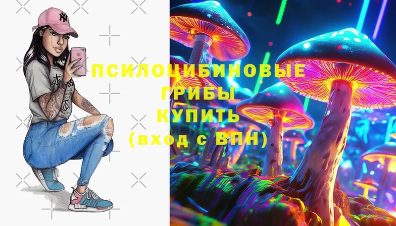 Псилоцибиновые грибы Cubensis Видное